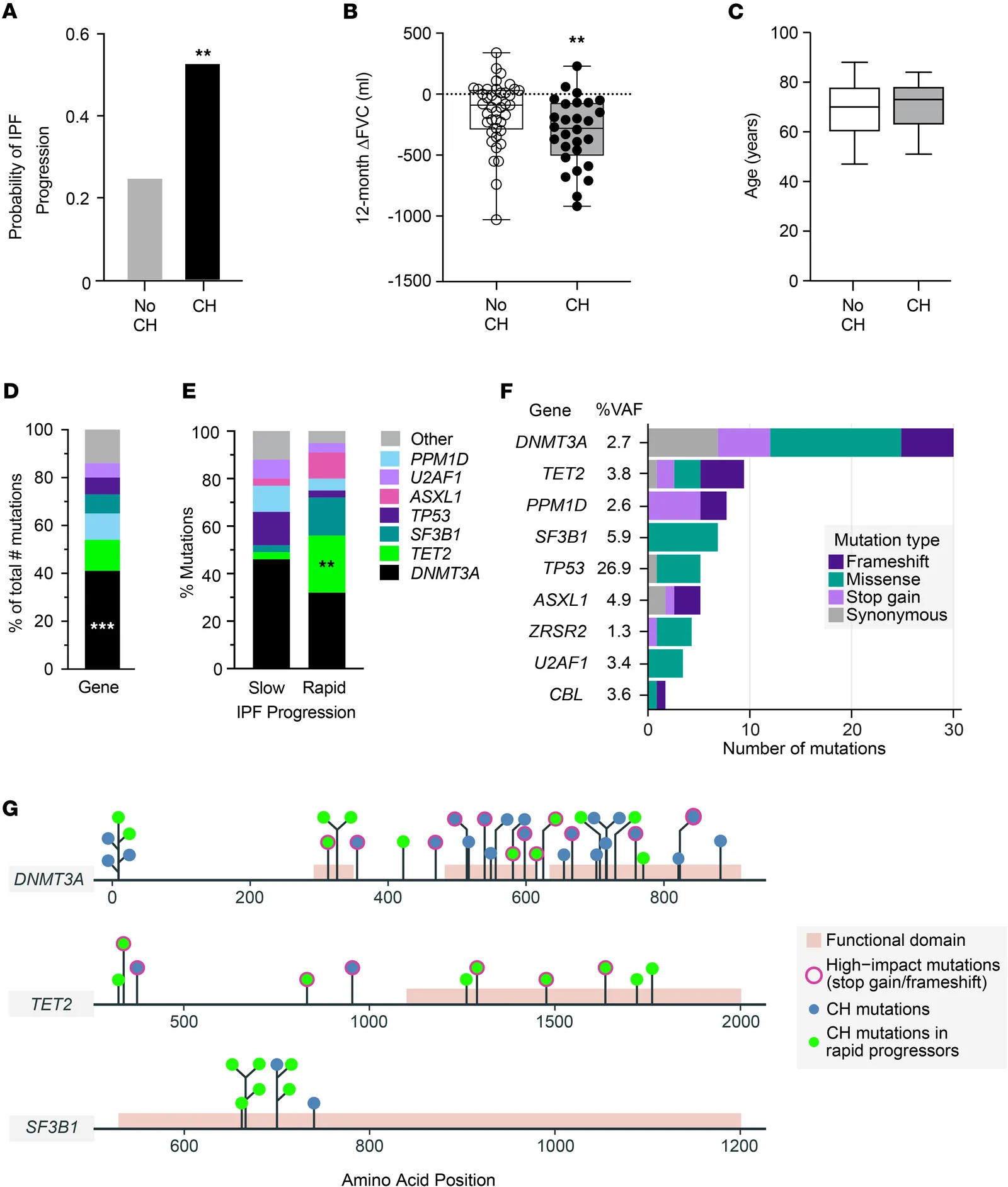 Figure 1. CH mutations are associated with IPF progression and loss of lung function.