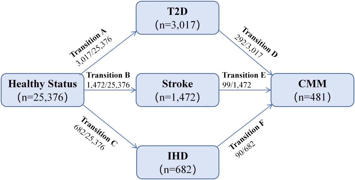 Figure 1. Multi-state transition patterns from baseline to CMM.