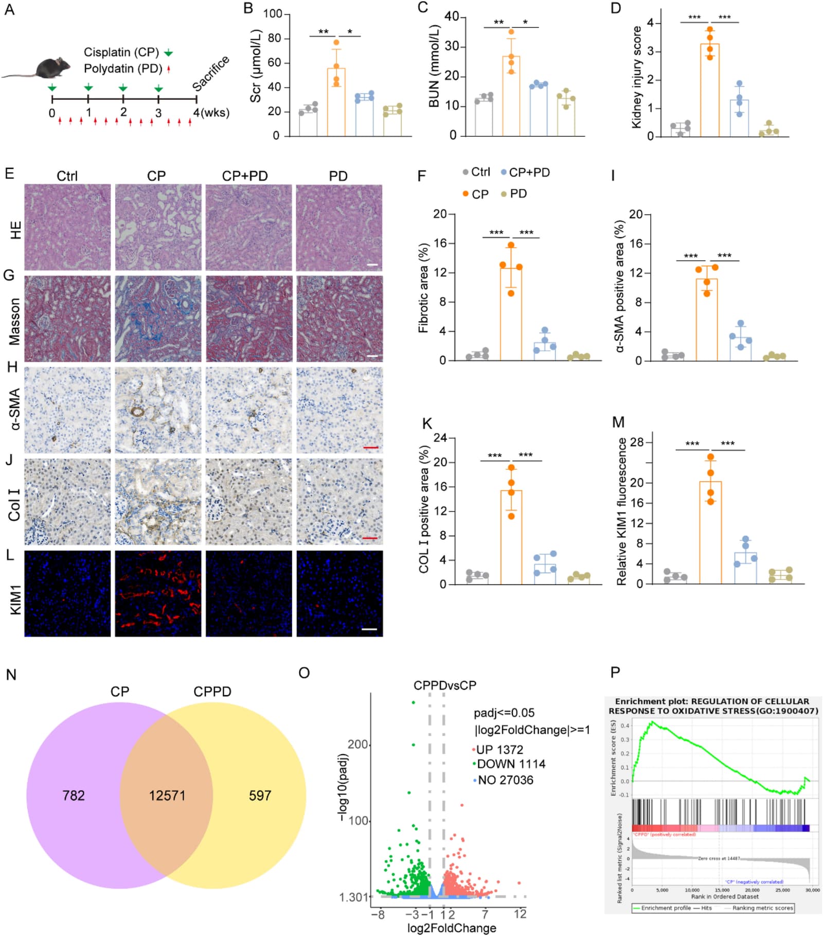 Figure 1 from International Immunopharmacology
