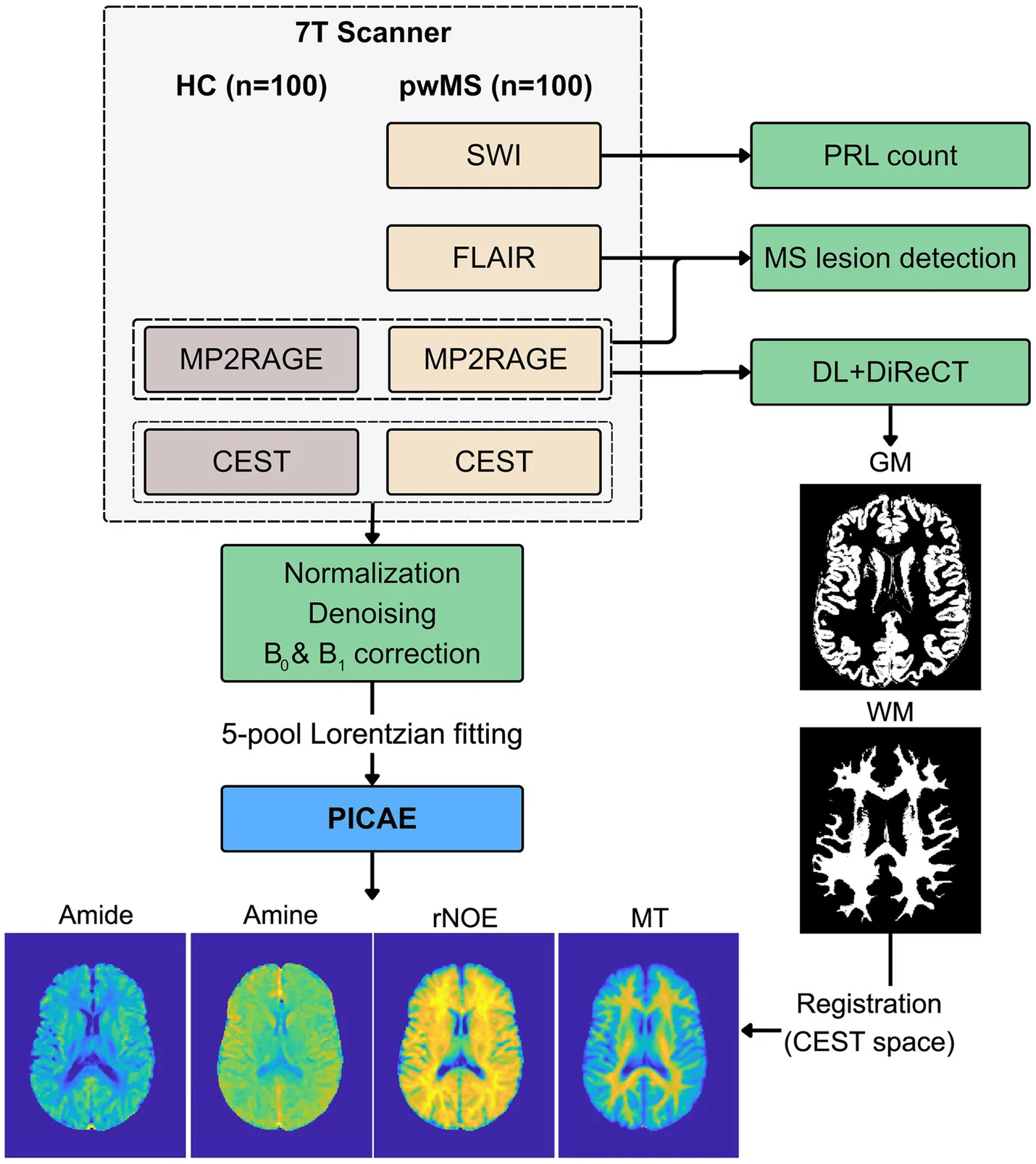 Figure 1. Overview of the 7 T MRI acquisition and processing pipeline.
