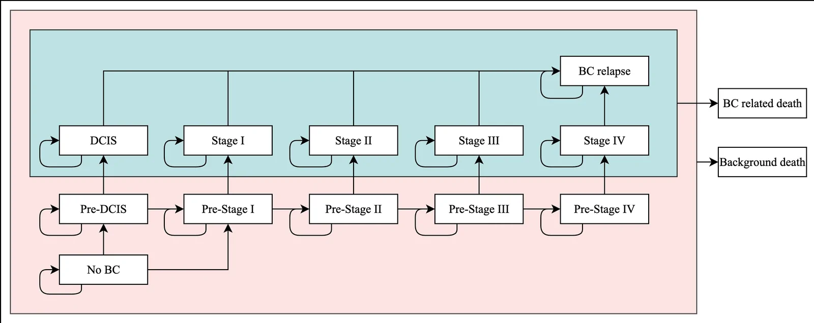 Figure 1. Markov model employed in our study.