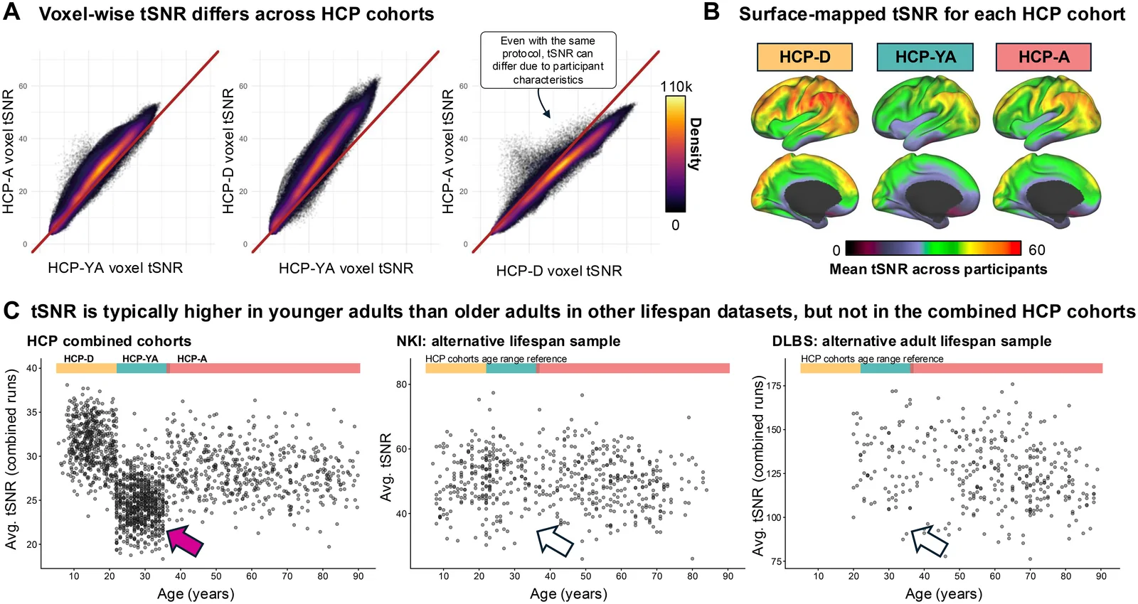 Fig. 1. Temporal signal-to-noise ratio (tSNR) differs across cohorts.