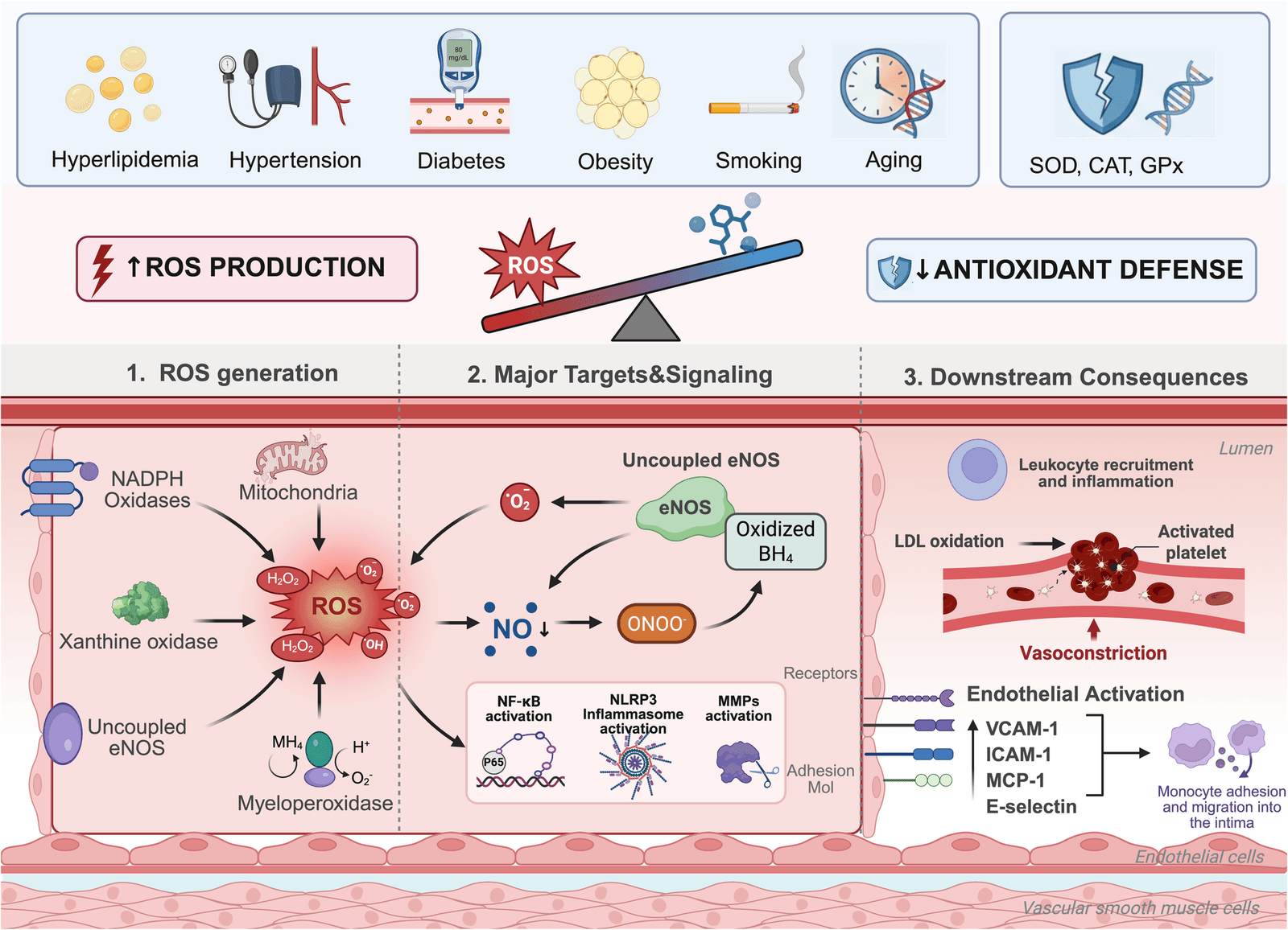 Figure 1 from Current Atherosclerosis Reports