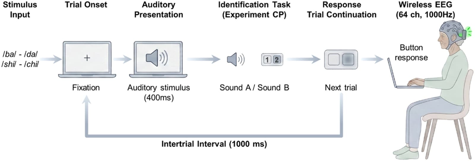 Figure 1 from Hearing Research