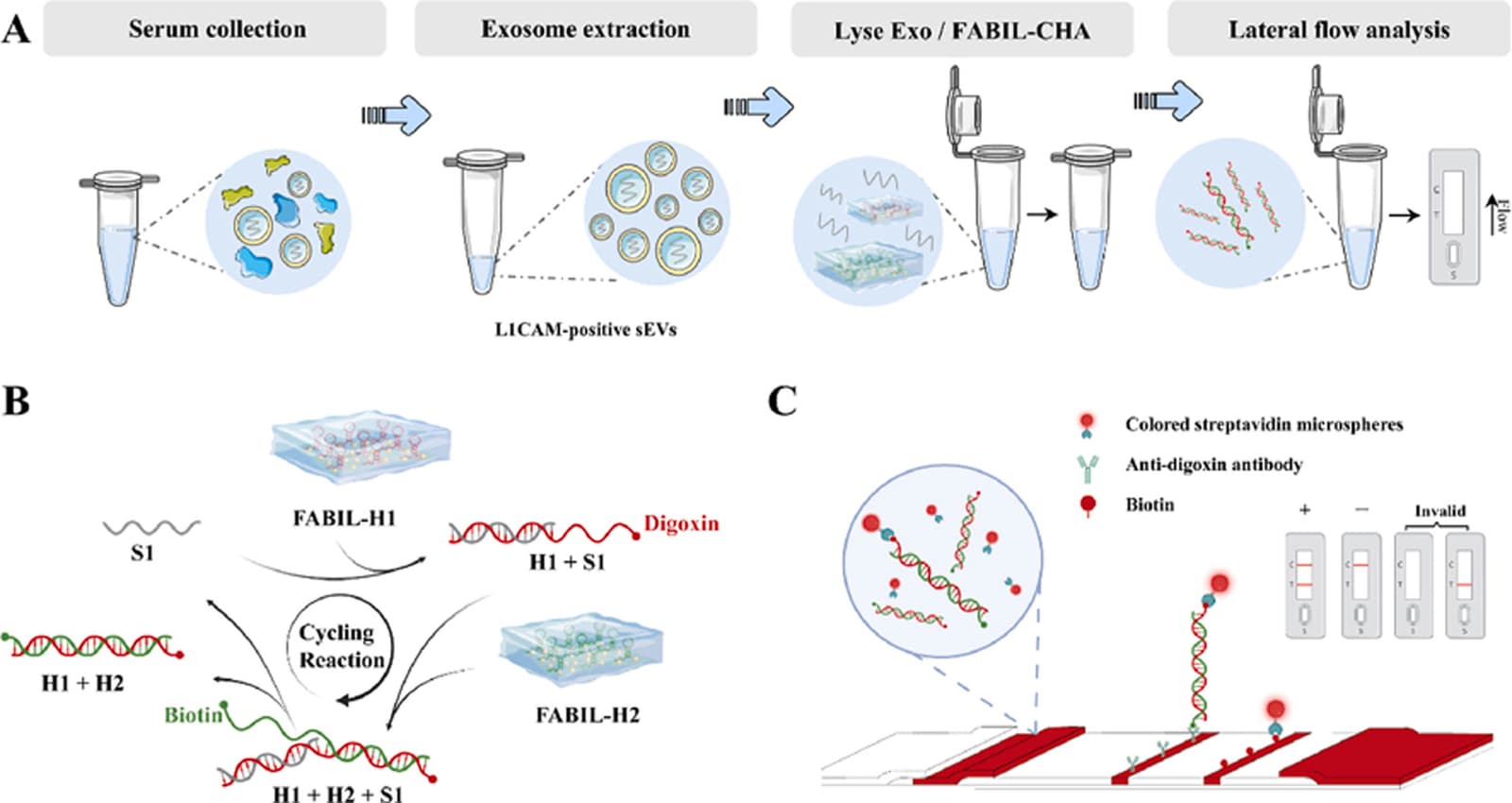Graphical abstract from Analytica Chimica Acta