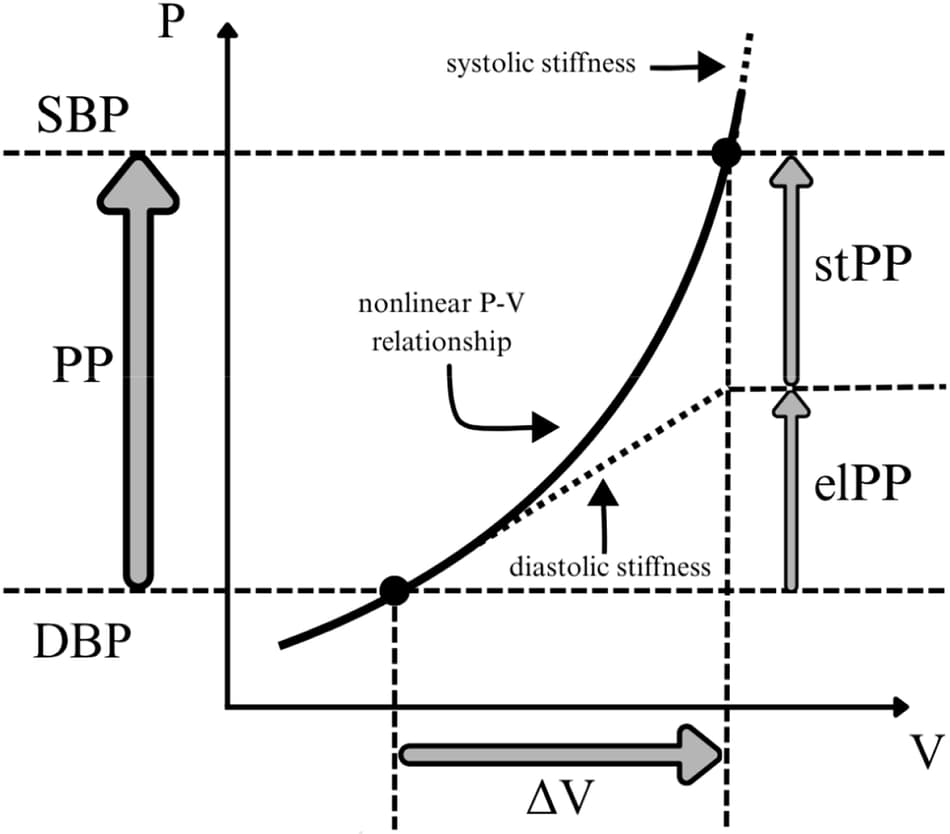 Figure 1 from Journal of Human Hypertension