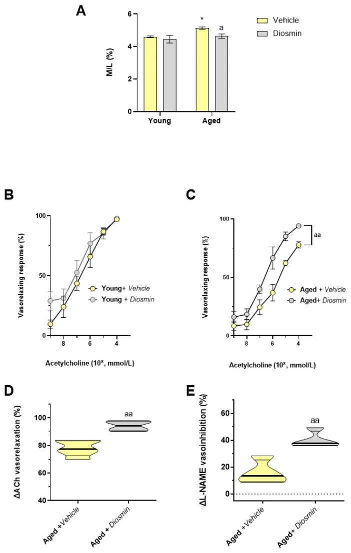 Figure 1. Effects of chronic diosmin supplementation on microvascular structure and endothelial function.