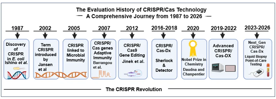 Figure 1. The evolution history of CRISPR/Cas technology based on diagnostic milestones.