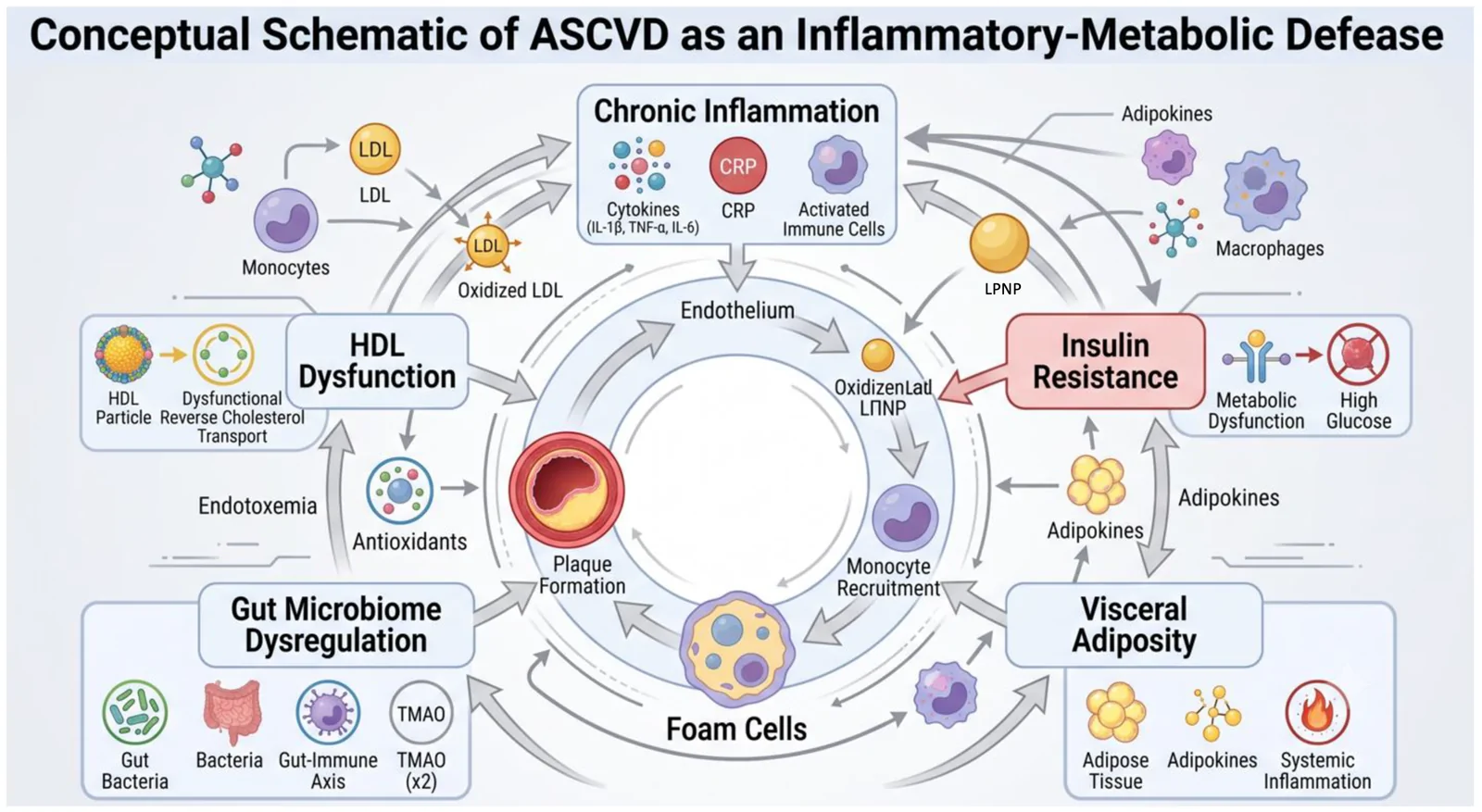 Figure 1. Conceptual schematic of ASCVD as an inflammatory-metabolic disease.