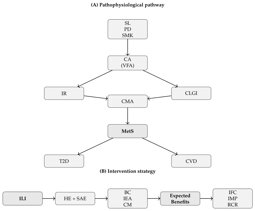 Figure 1. Conceptual framework of the study.