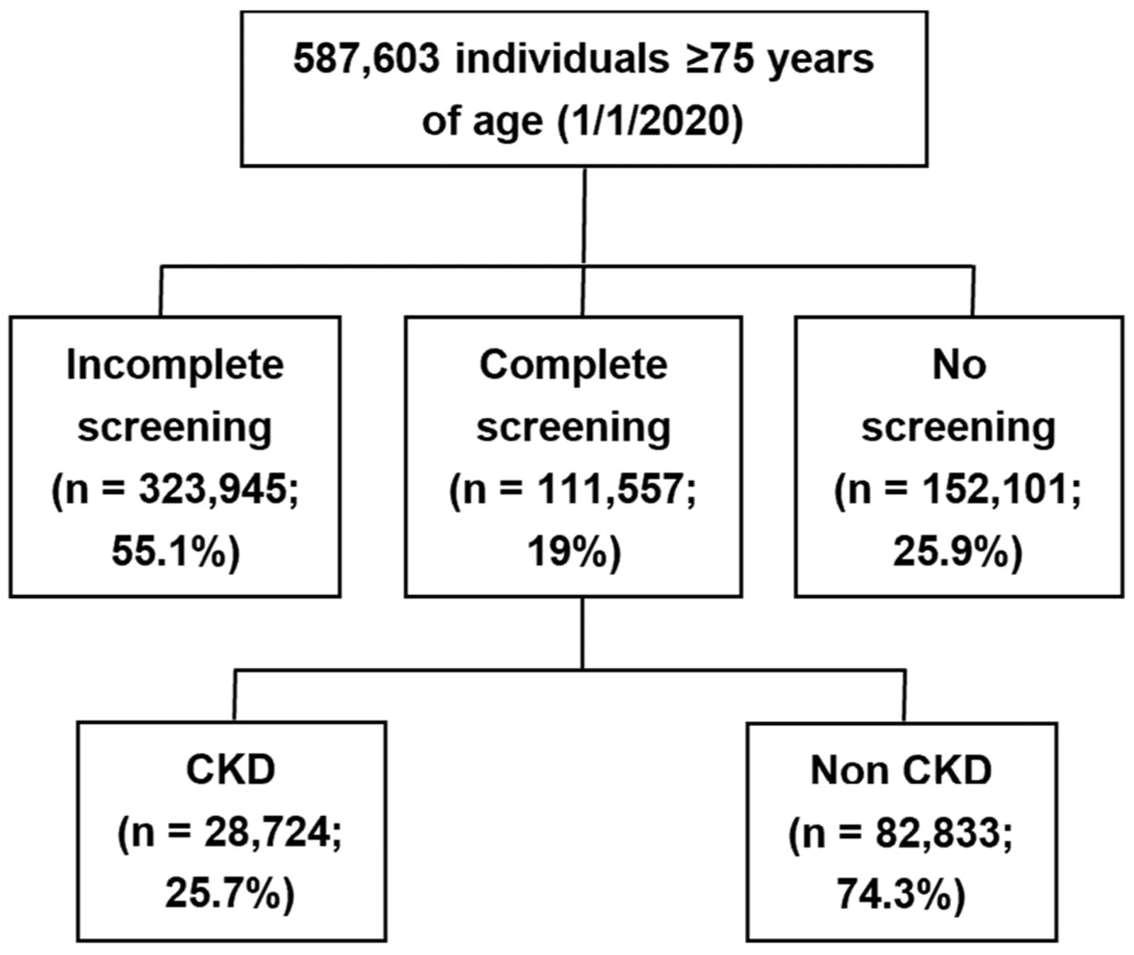 Flowchart of CKD Screening Status and CKD Detection in Adults ≥ 75 Years (n = 587,603).