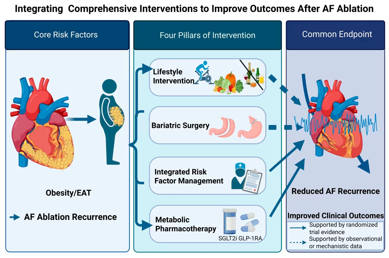 Figure 1. A framework for comprehensive management to reduce recurrence after atrial fibrillation (AF) ablation.