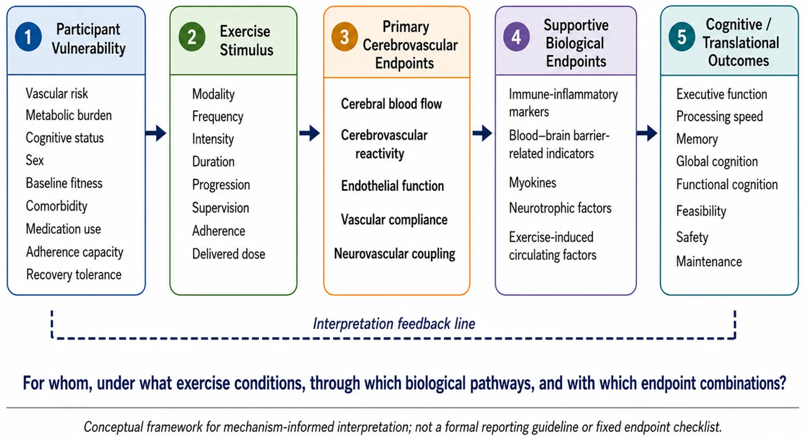 Figure 1. Mechanism-informed endpoint framework for exercise studies in cognitive aging.
