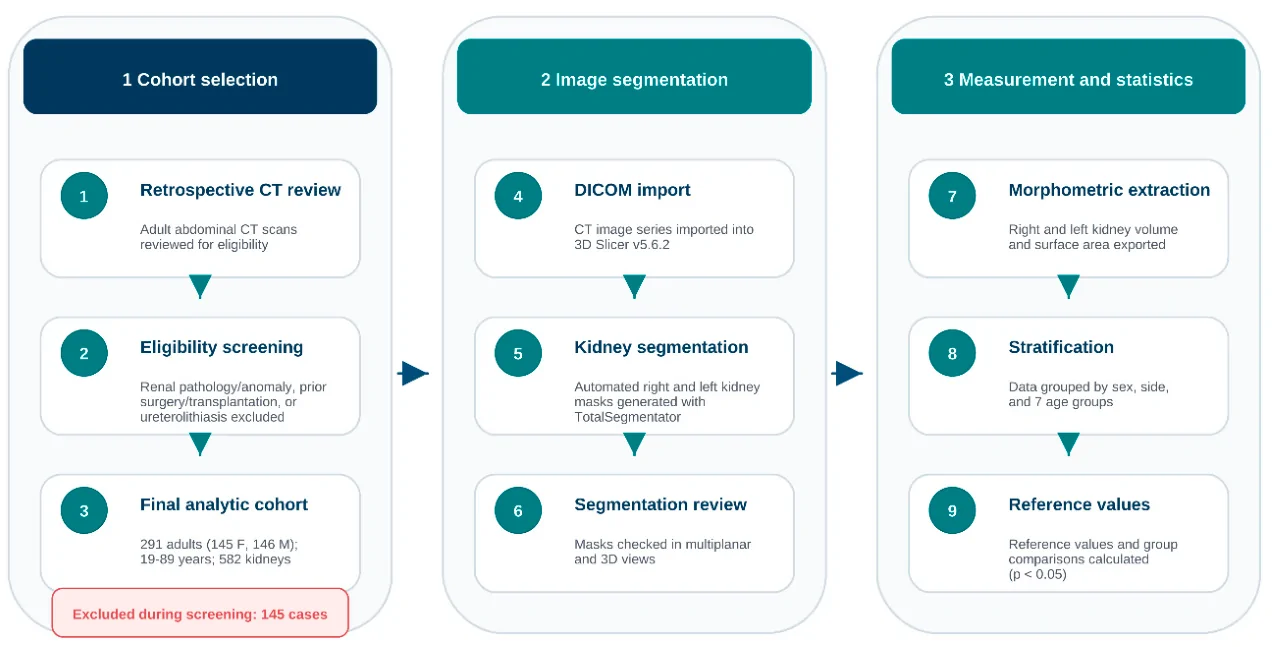 Figure 1. Workflow of the study design and image analysis.
