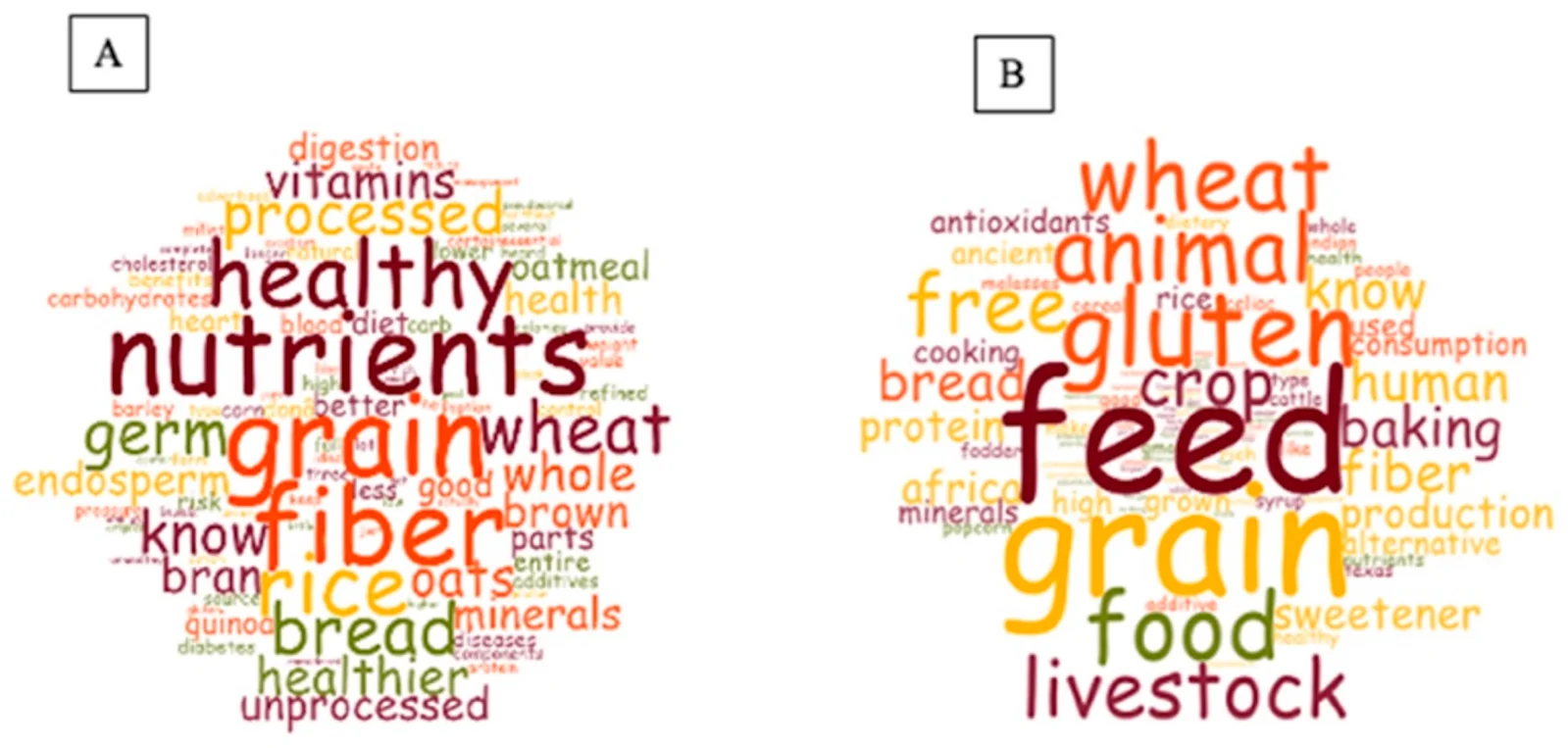 Figure 1. Word clouds for the open-ended questions related to whole grains and sorghum.