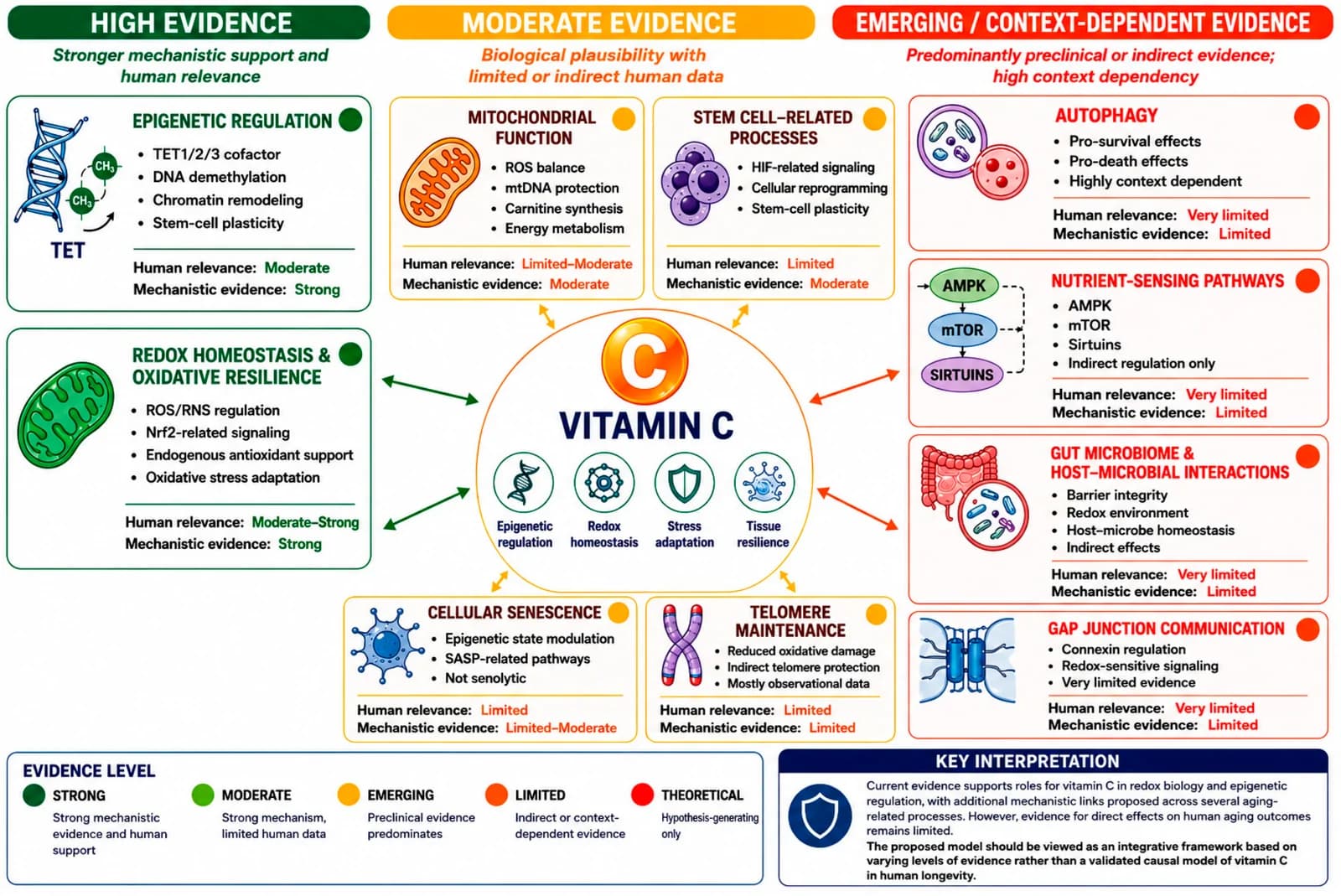 Figure A1. Vitamin C and biological aging: strength of evidence.