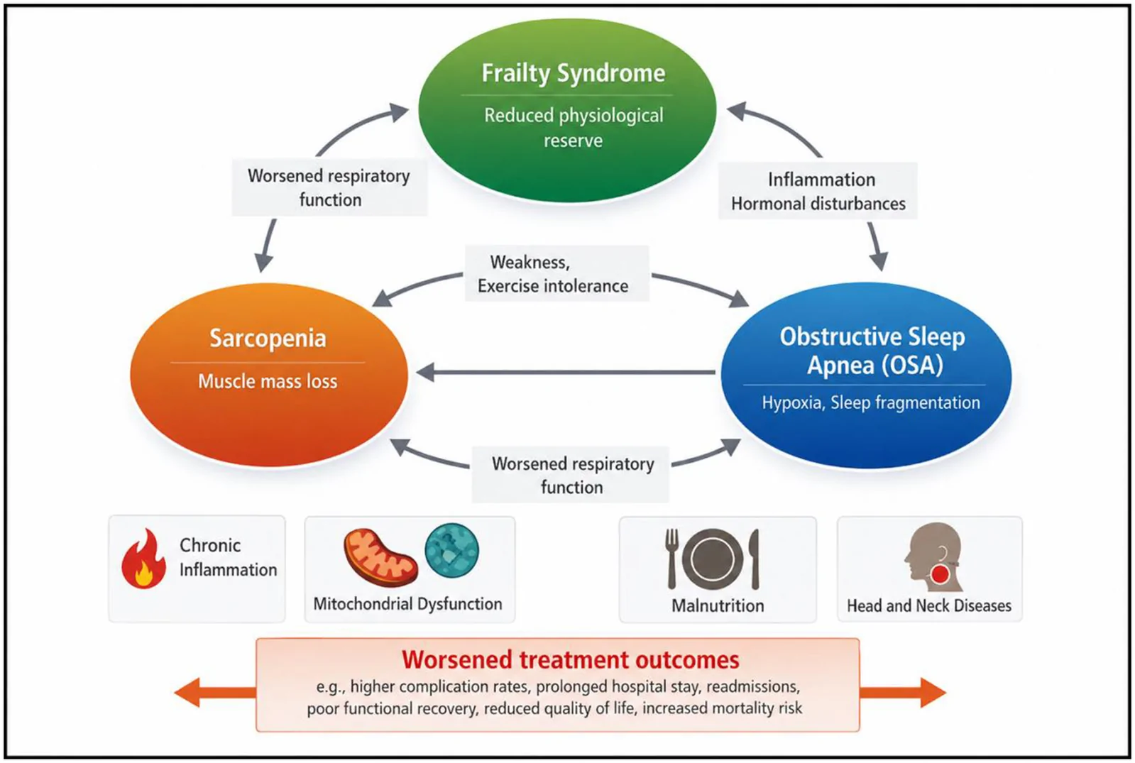 Graphical abstract. Conceptual pathophysiological model illustrating the proposed interplay between sarcopenia, frailty syndrome, and obstructive sleep apnea in head and neck cancer and upper airway disorders.