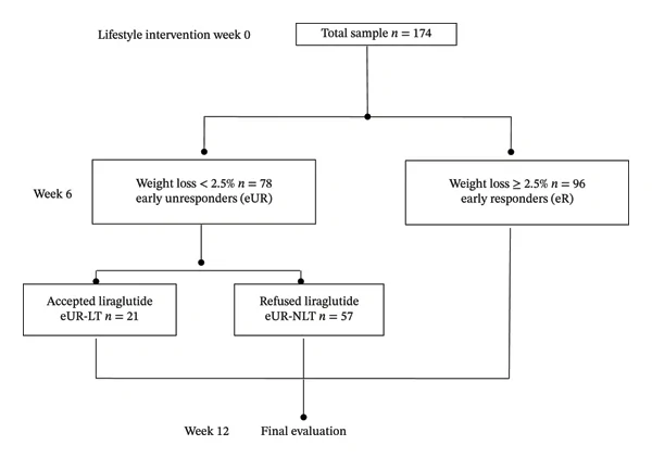 Figure 1. Participant treatment flow diagram.