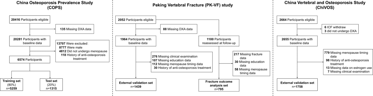 Figure 1 from Osteoporosis International