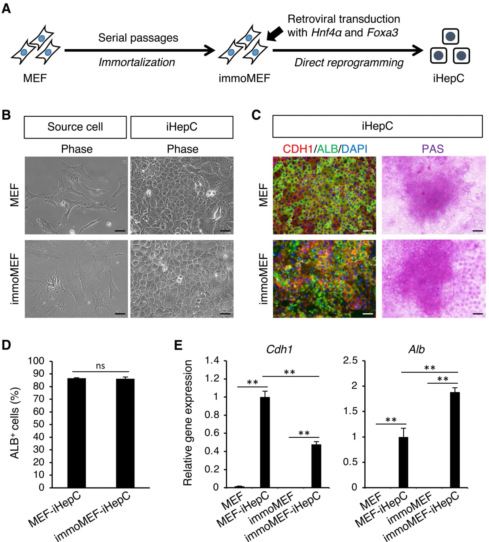 Figure 1 from Stem Cell Reports