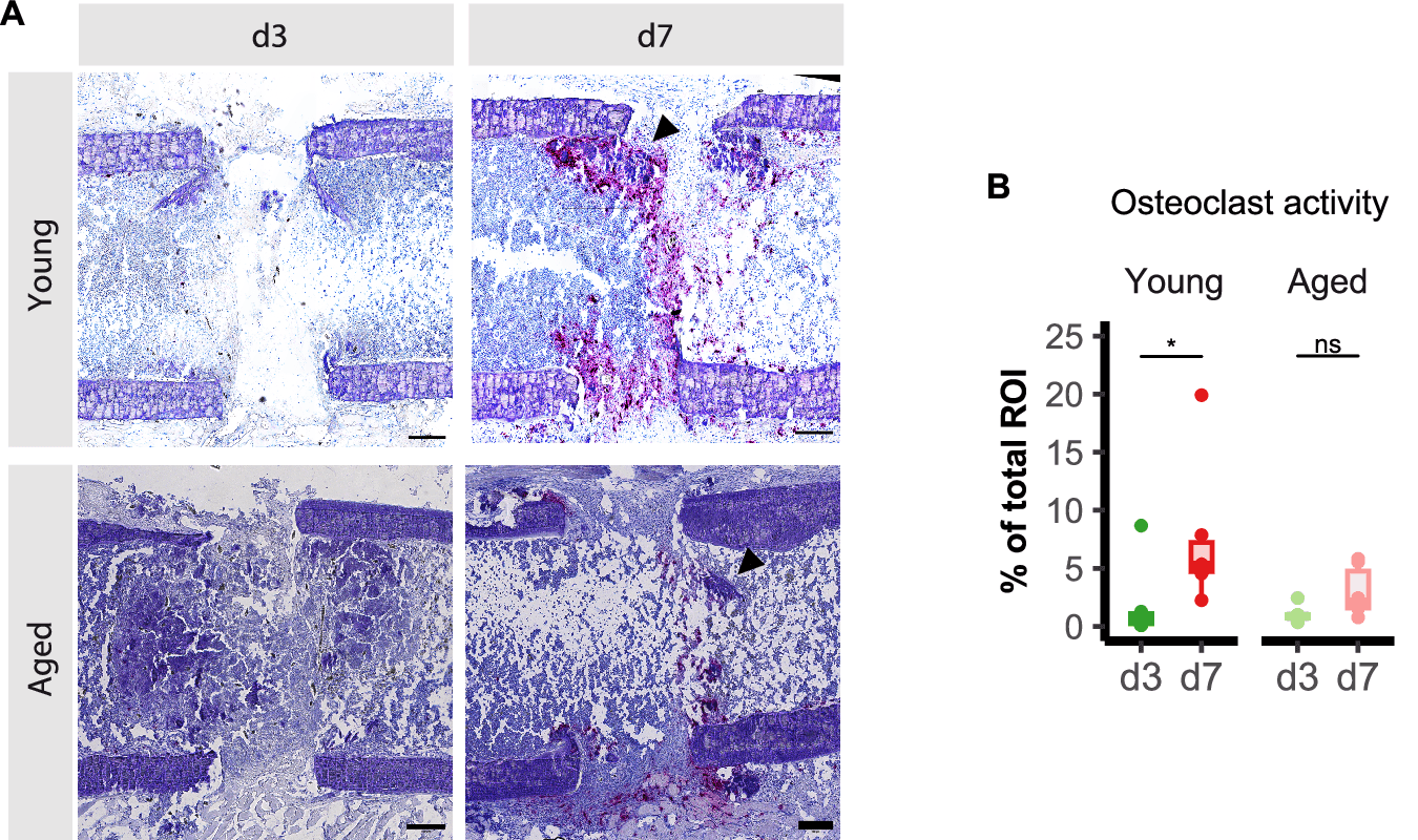Figure 1 from Nature Communications