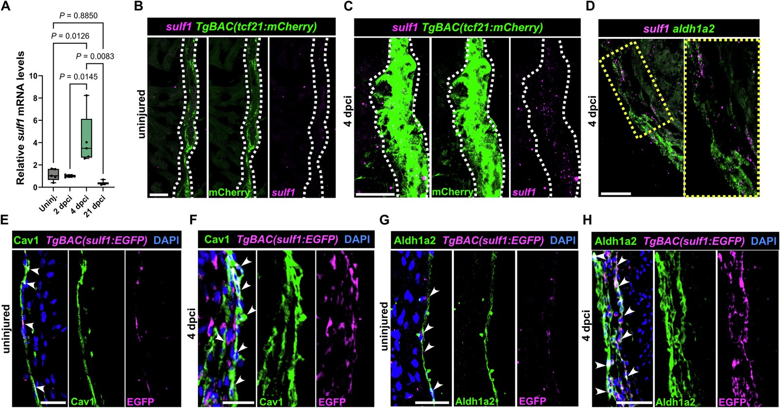 Figure 1 from EMBO Reports