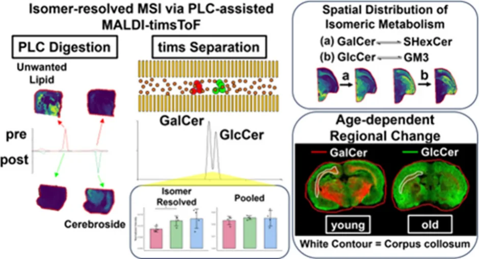 Graphical abstract from ACS Central Science
