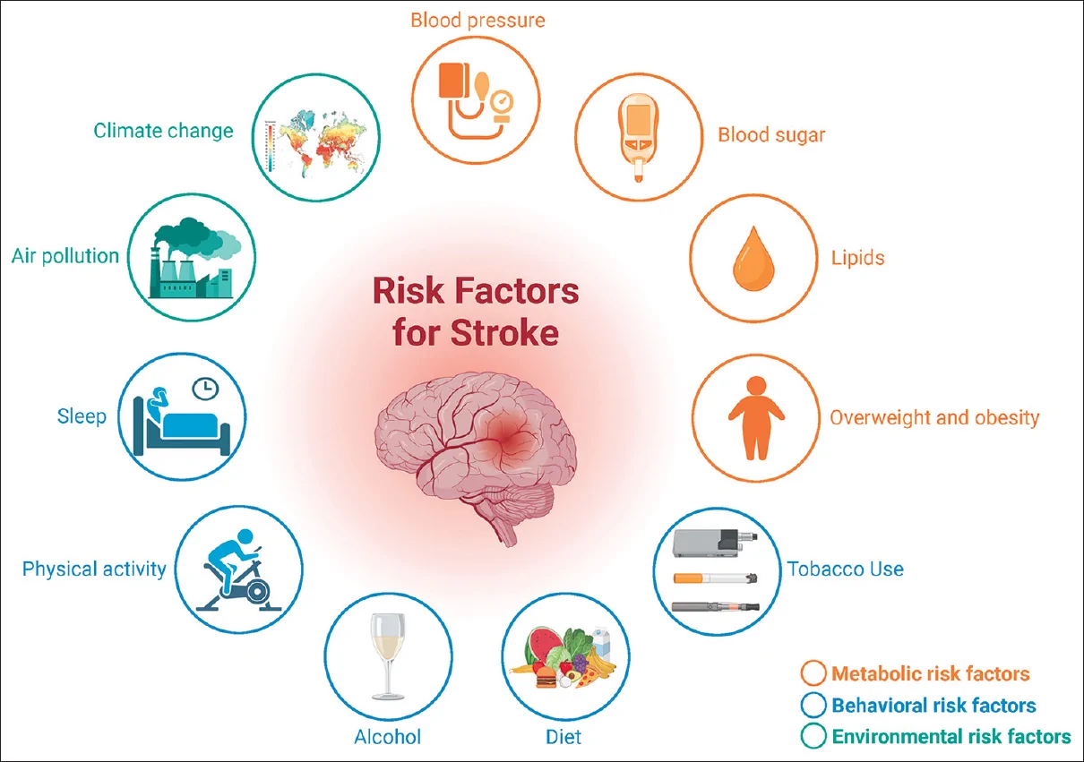 Figure 1. Central illustration of stroke-related metabolic, behavioral, and environmental risk factors.