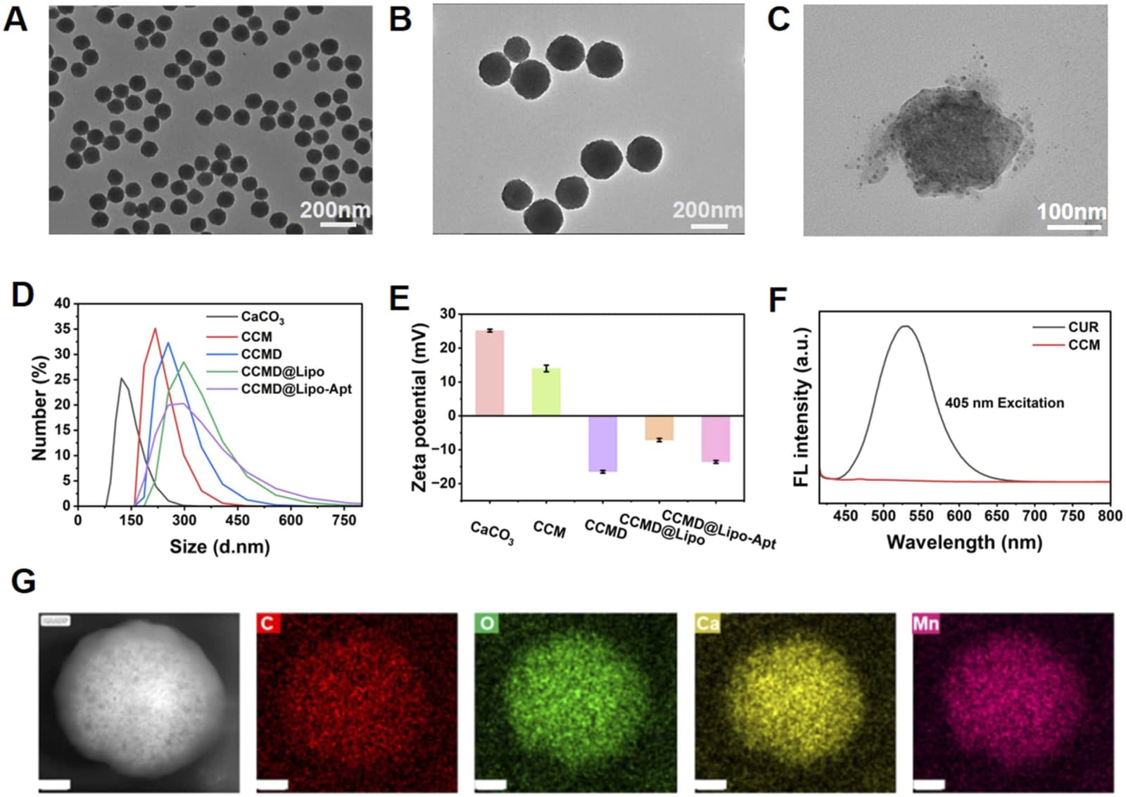 Figure 1 from Colloids and Surfaces B, Biointerfaces