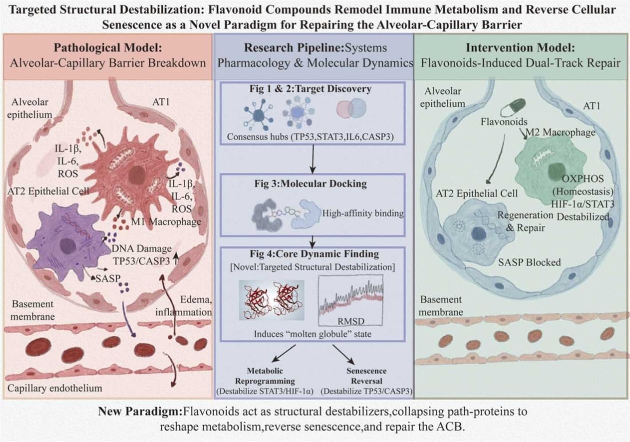 Graphical abstract from Pharmacological Research