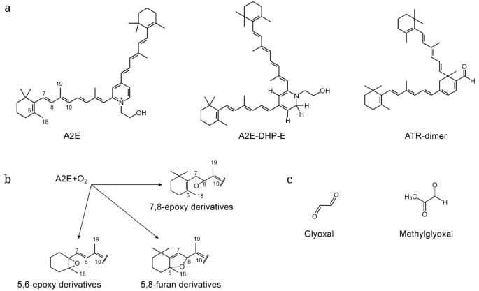 Figure 1 from Biochemistry Biokhimiia