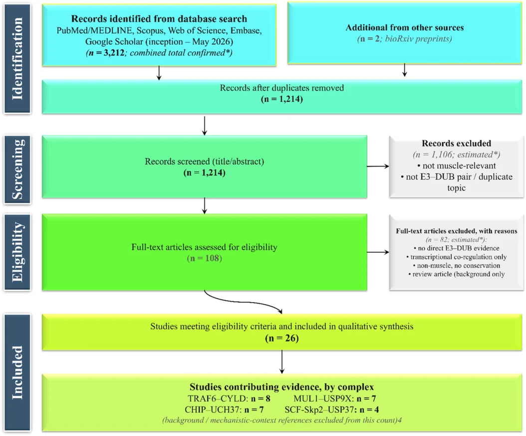 Figure 1. PRISMA‐style flow of records through identification, screening, eligibility assessment, and inclusion for this review.