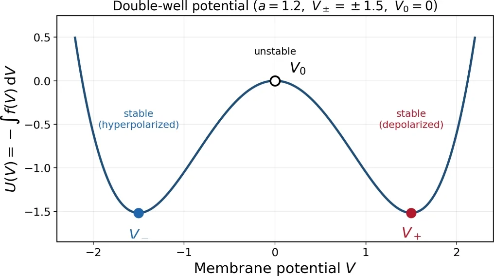 Fig. 1. Double-well potential <?equation-image-name d33e1316.gif?><?equation-image-status READY?><?equation-image-md5 3741ec80f1e9ab3cfc4467c77f3b8d4b?><?equation-image-cloudpmc-urn…