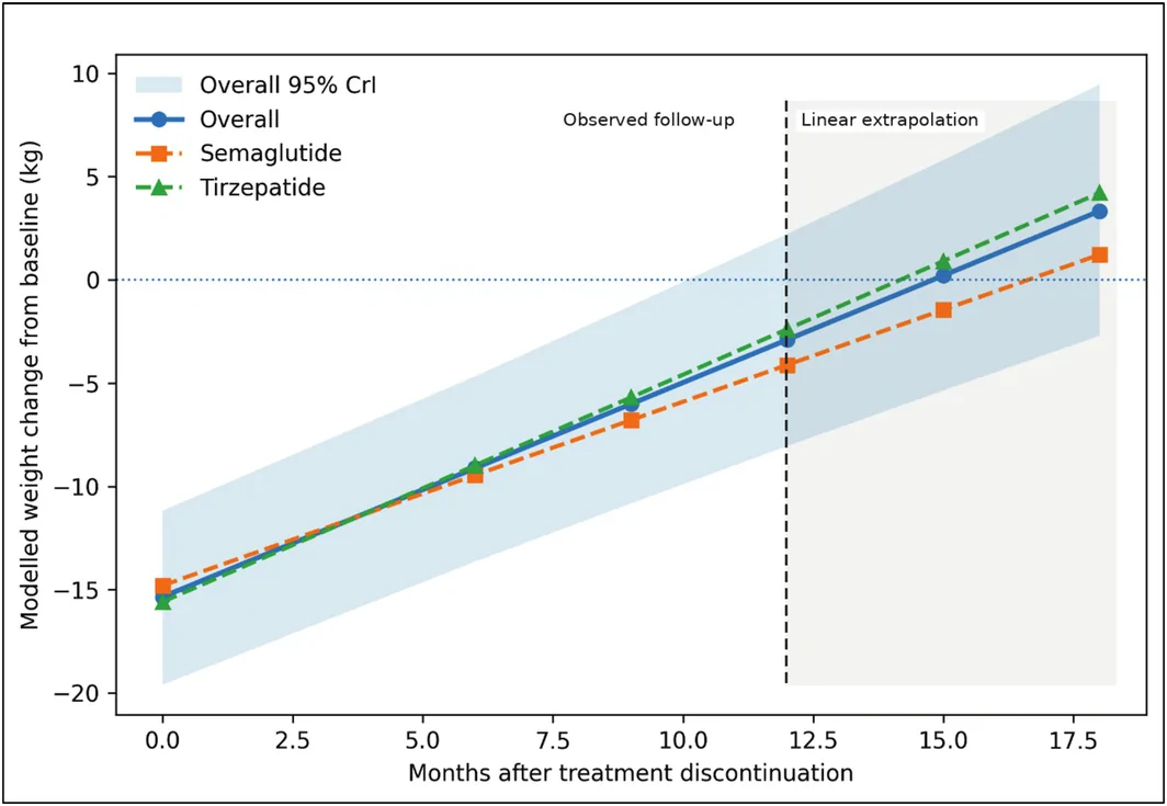 Figure 1. Modelled weight‐regain trajectory after discontinuation of semaglutide or tirzepatide.