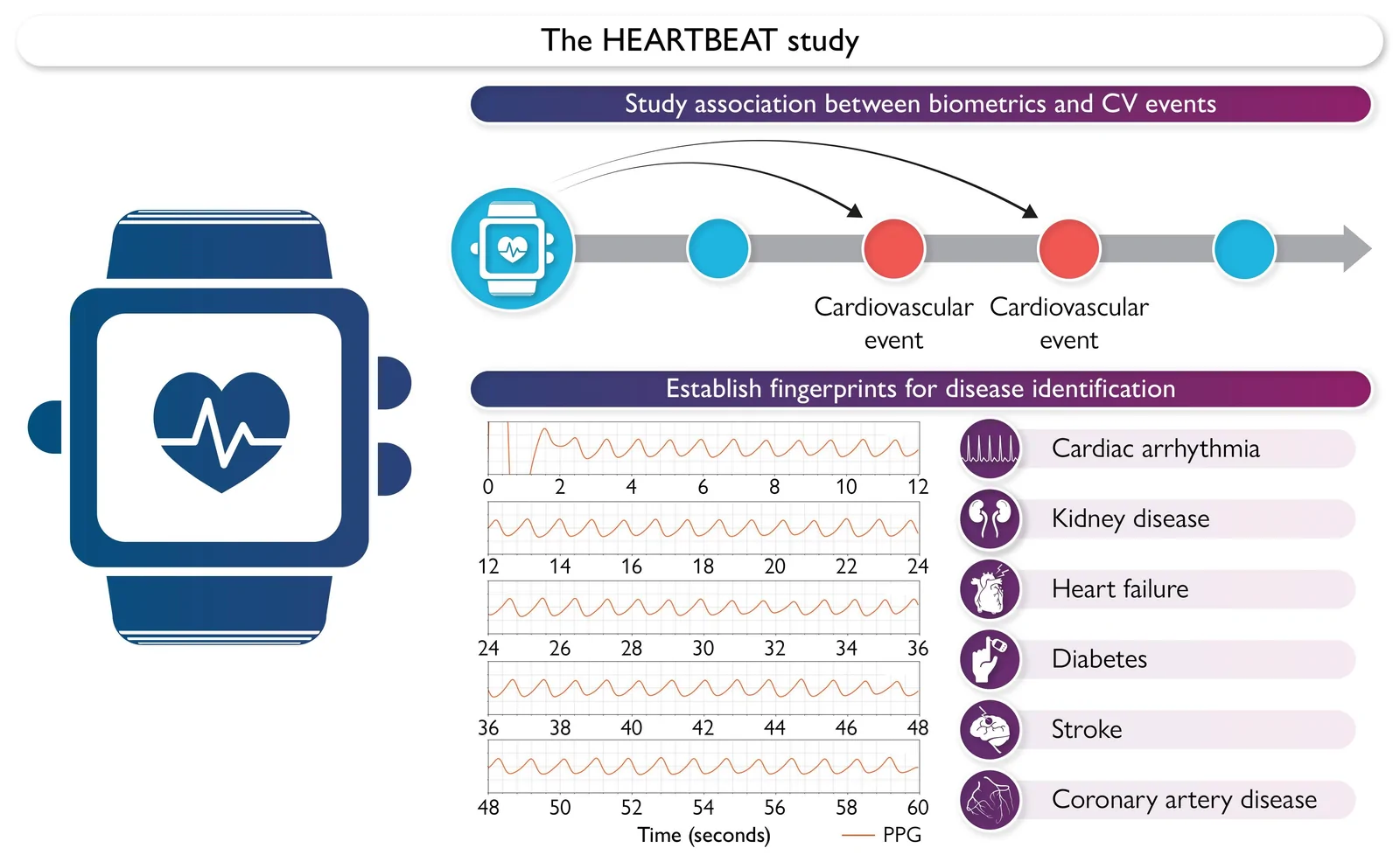 Graphical abstract. HEARTBEAT Study’s Aims.