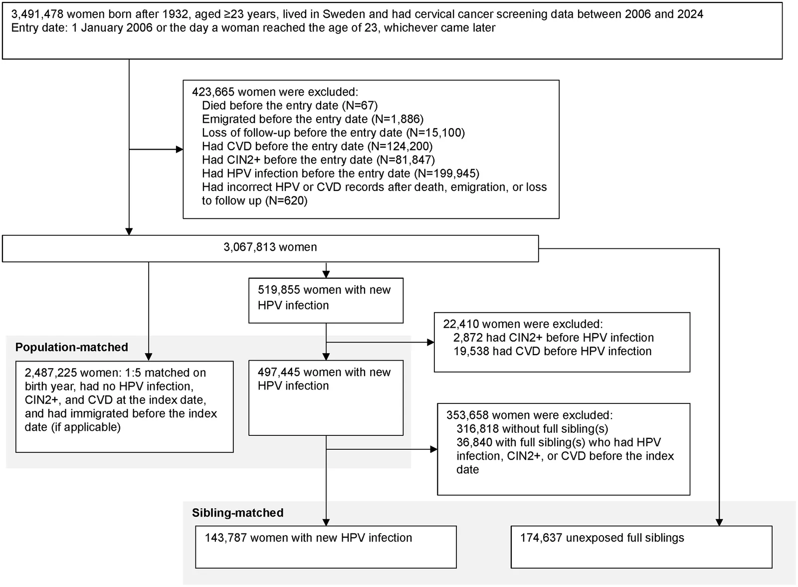 Fig 1. Flow chart of the study population.