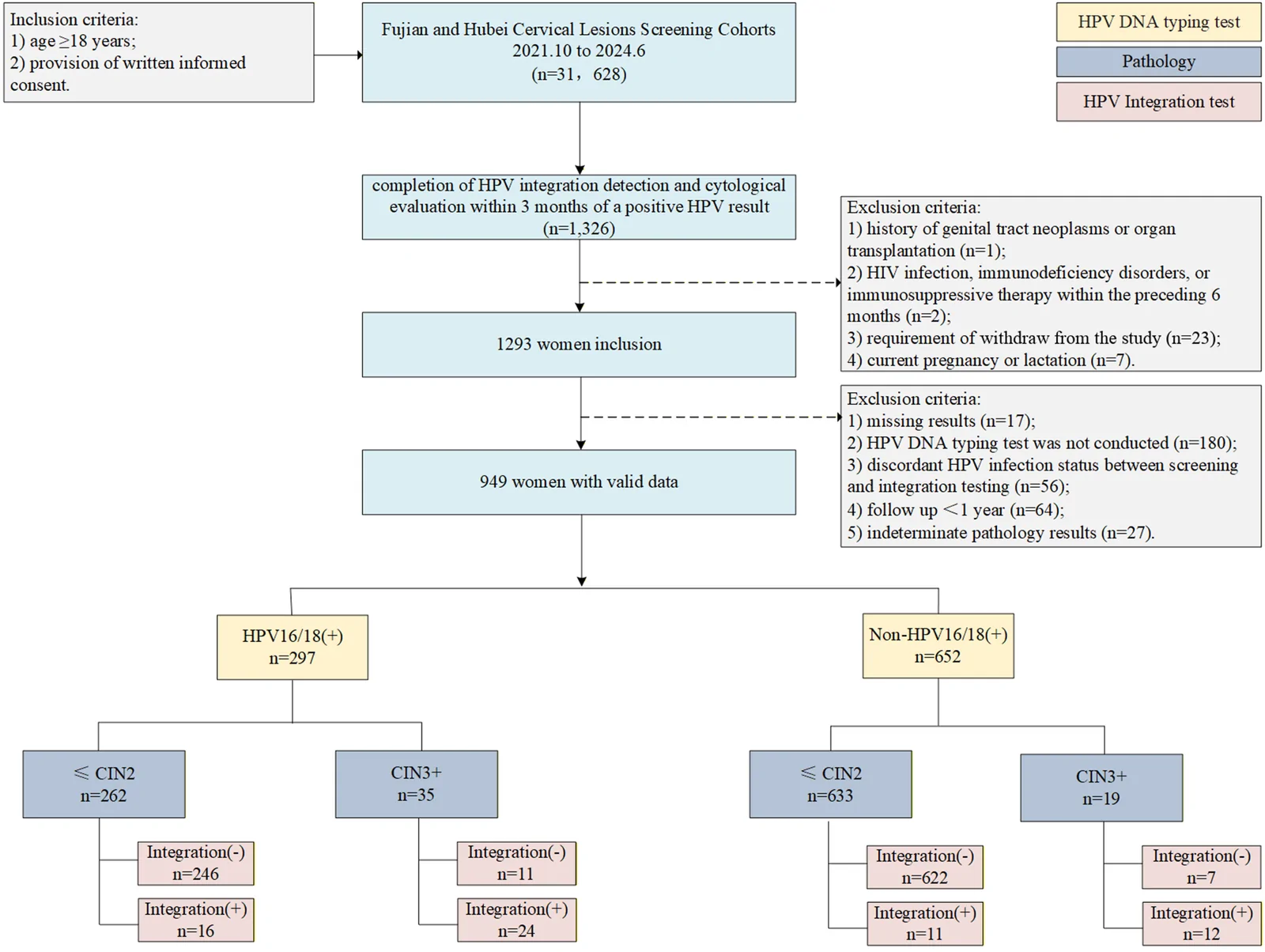Fig. 1. Study flowchart. Abbreviations: HPV, human papillomavirus; CIN3+, cervical intraepithelial neoplasia grade 3 or worse; ≤CIN2 group comprised histologically confirmed benign or inflammatory findings,…