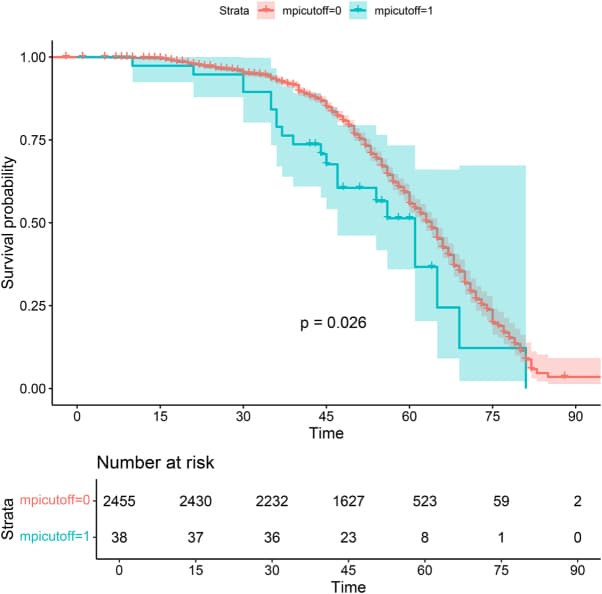 Figure 1. Kaplan–Meier survival curves for RA patients across MPI quartiles.