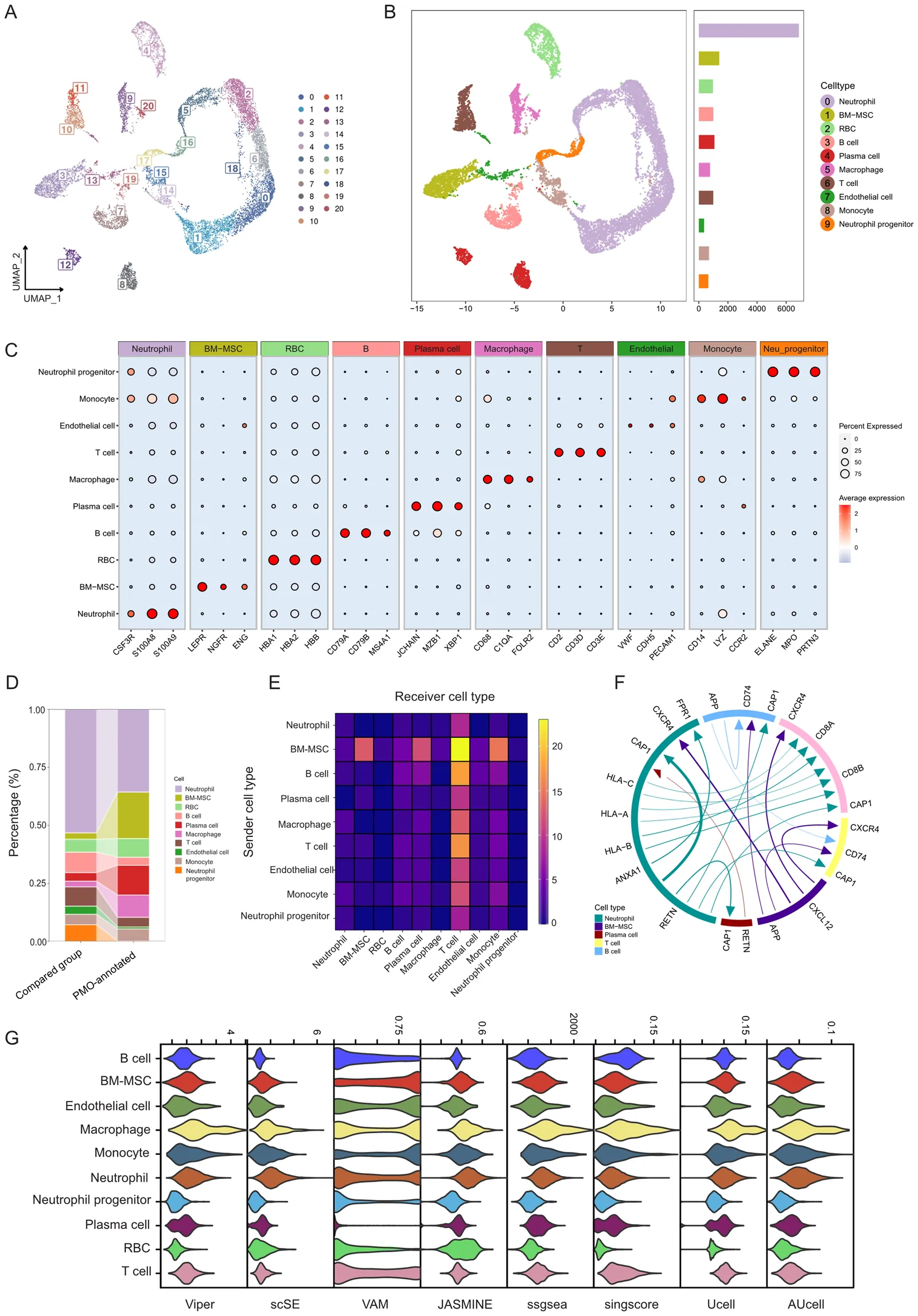 Figure 1. Single-cell landscape of post-menopausal osteoporosis.