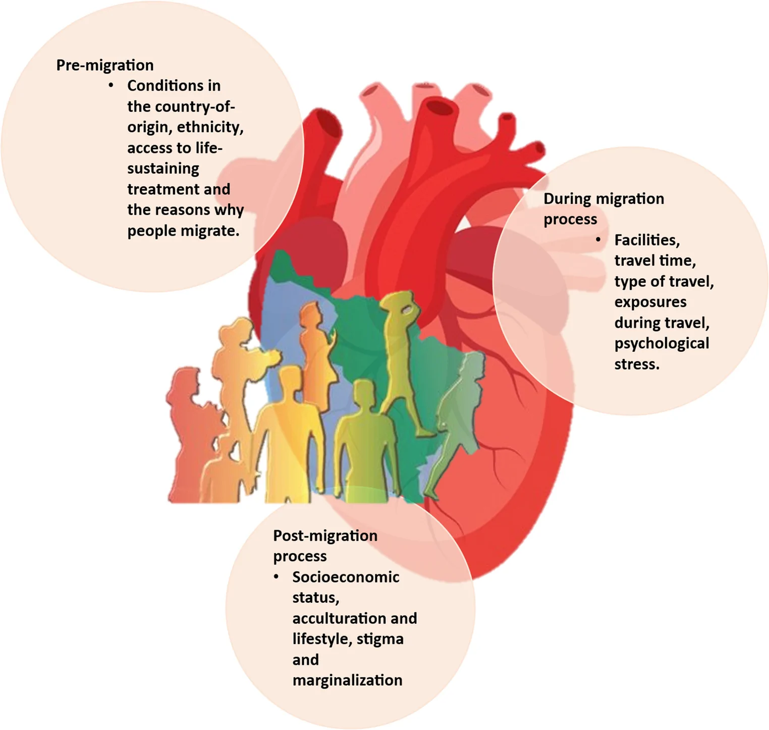 Fig. 1. Immigration factors that may influence increased cardiovascular process.