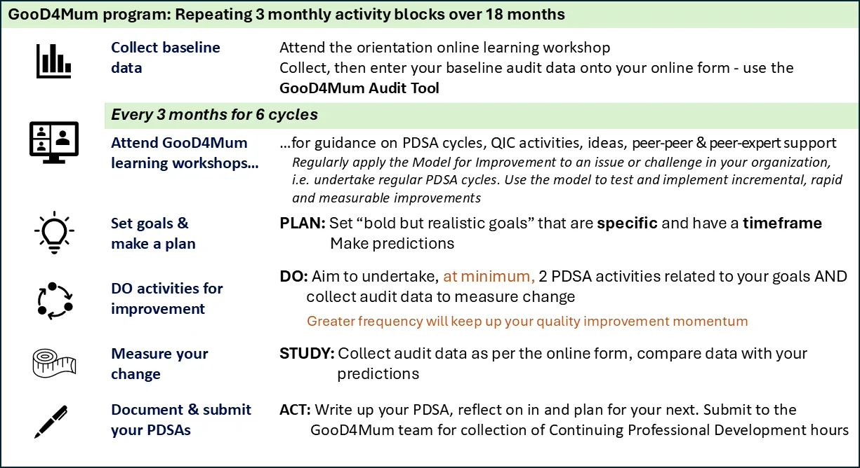 Figure 1. Summary of GooD4Mum activities for intervention practices.