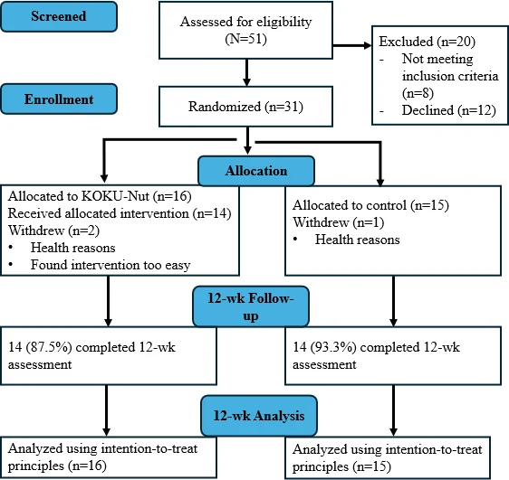 Figure 1. CONSORT (Consolidated Standards of Reporting Trials) flow diagram.