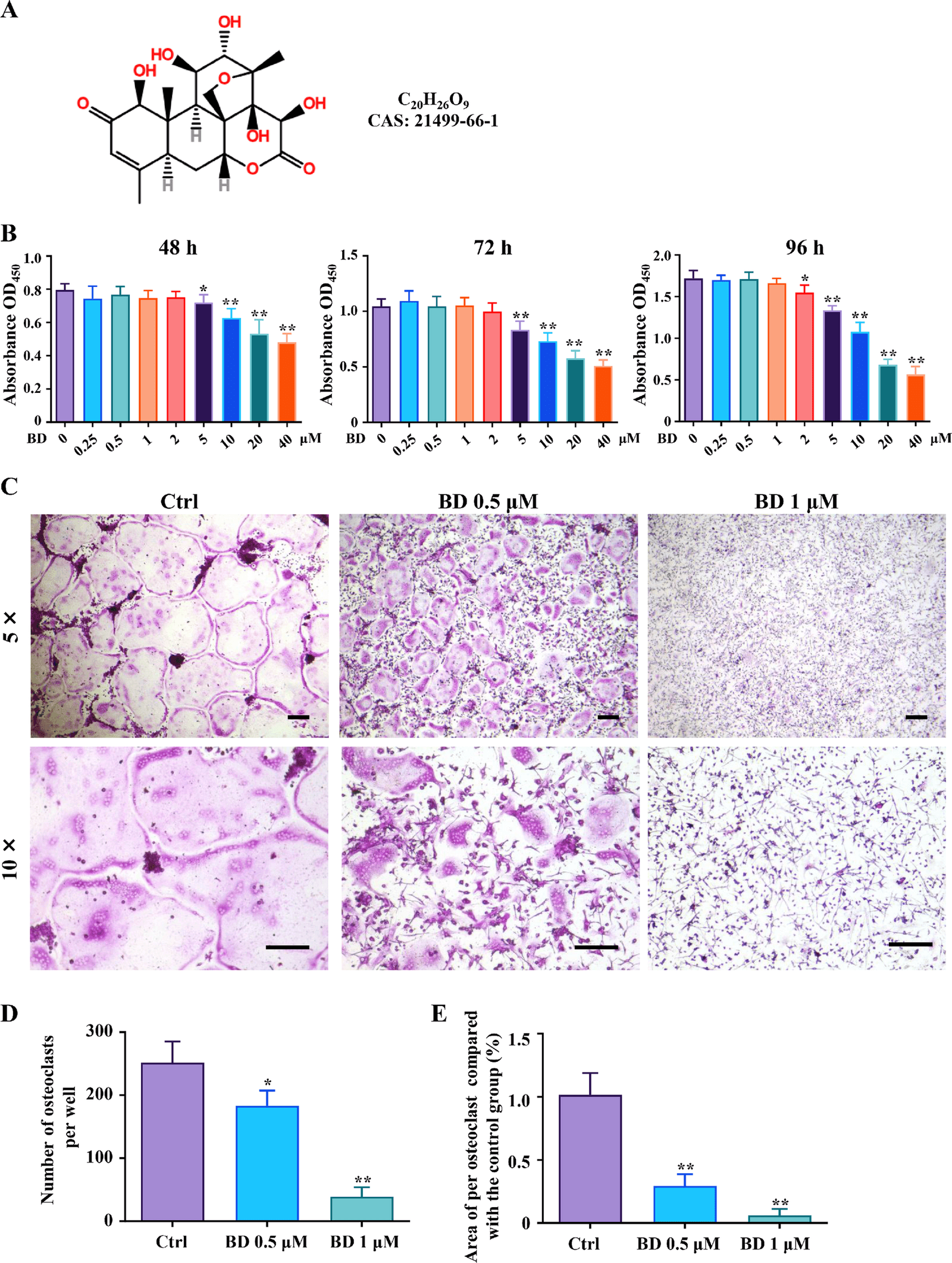 Figure 1 from Molecular Biology Reports