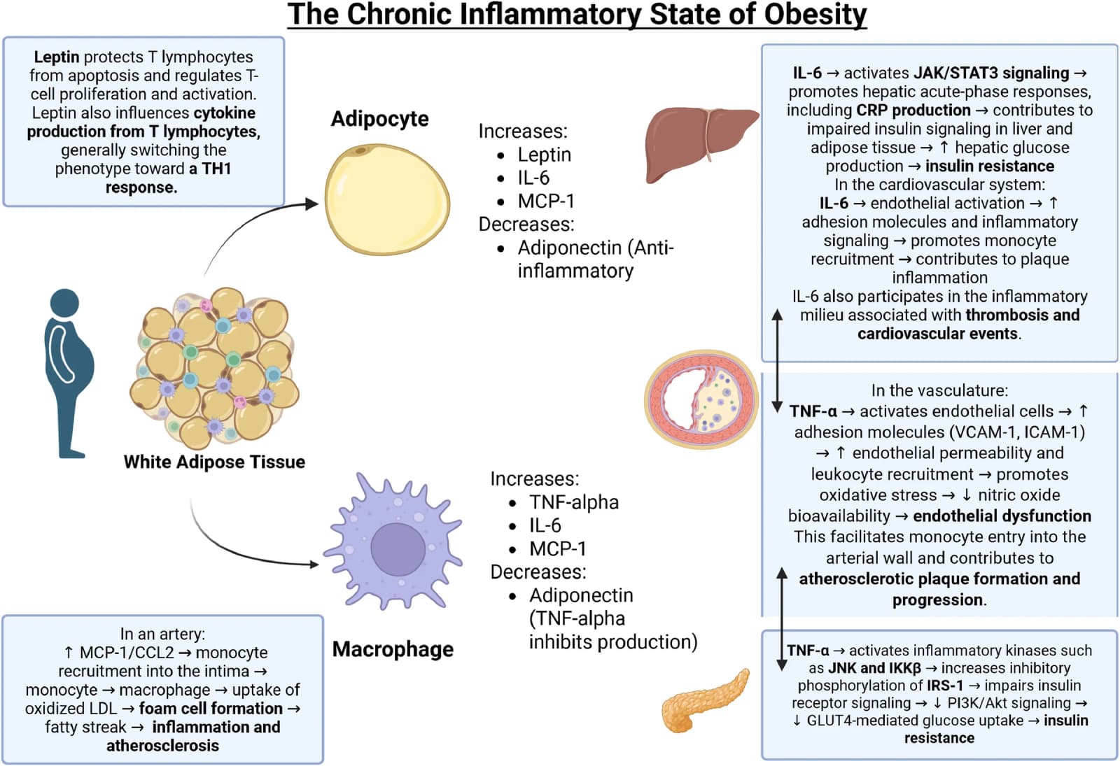Figure 1 from Clinics in Dermatology