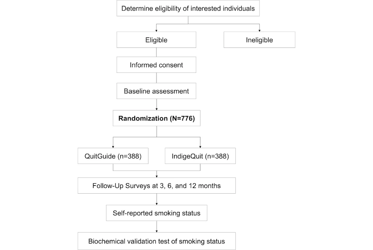 Figure 1. Experimental study design schema.