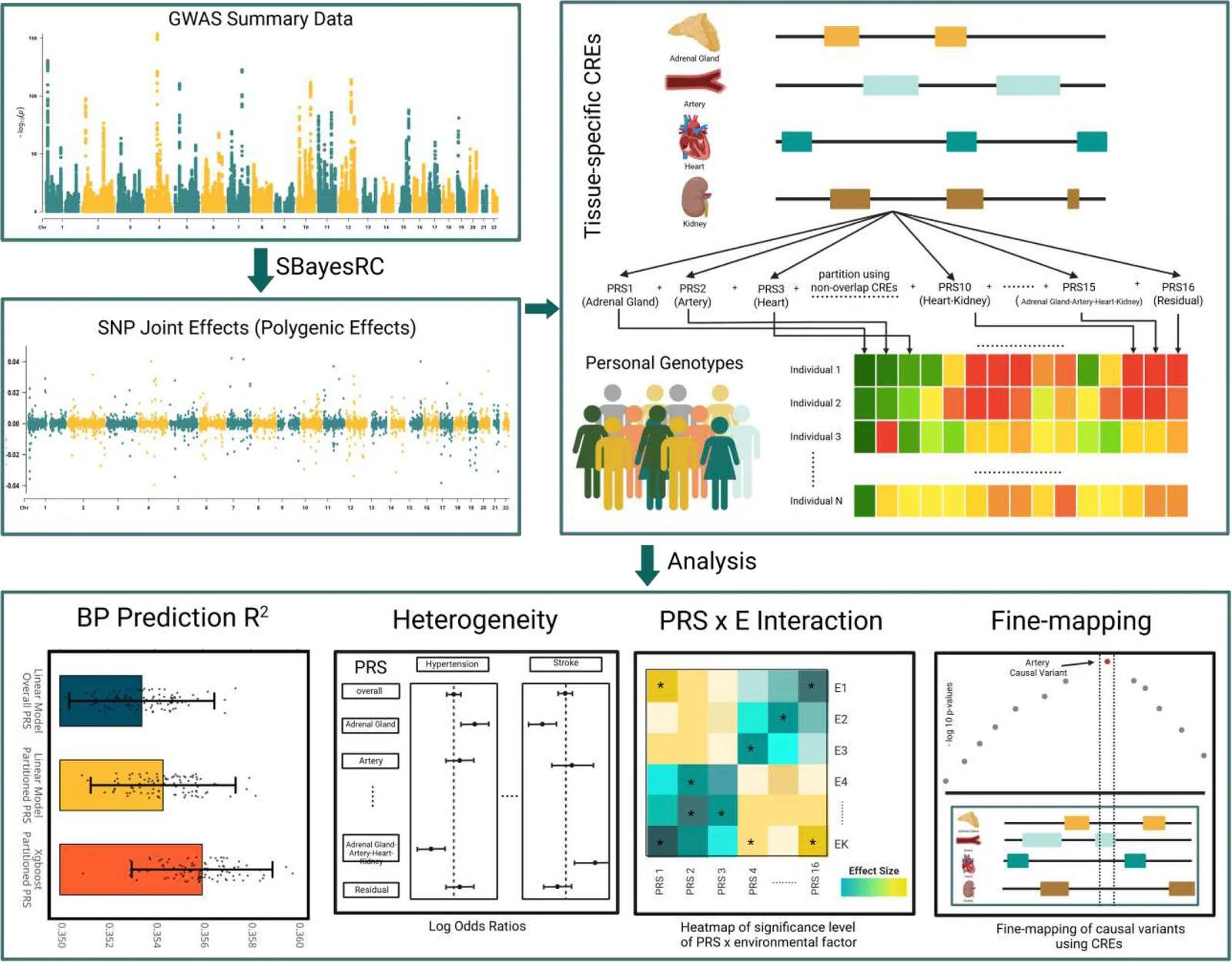 Fig. 1. Overview of the analysis pipeline.