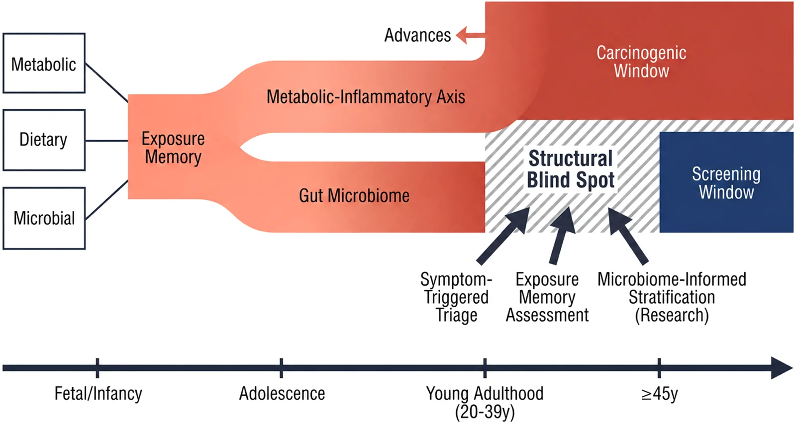 Figure 1. The carcinogenic window advances before the screening window opens: a structural blind spot in age-threshold screening for early-onset colorectal cancer.