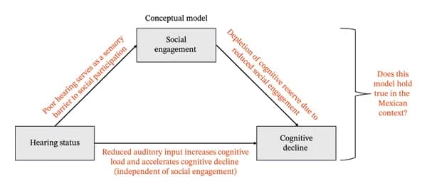 Figure 1. The conceptual framework for the mediation effects of social engagement.
