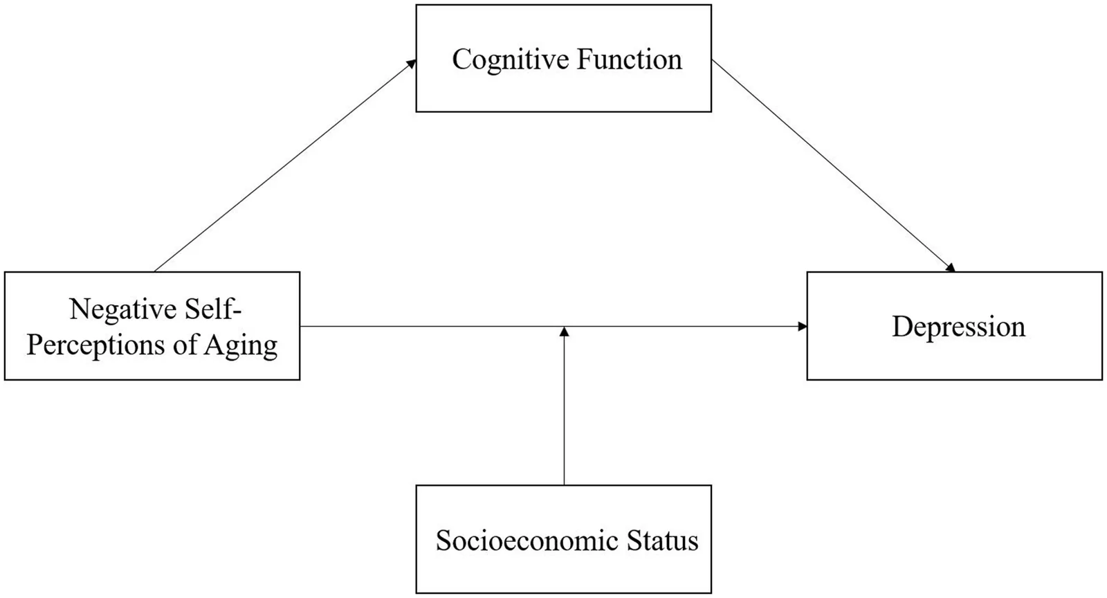 Figure 1. Conceptual framework.