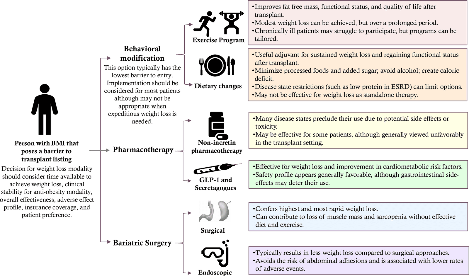 Figure 1 from Current Obesity Reports